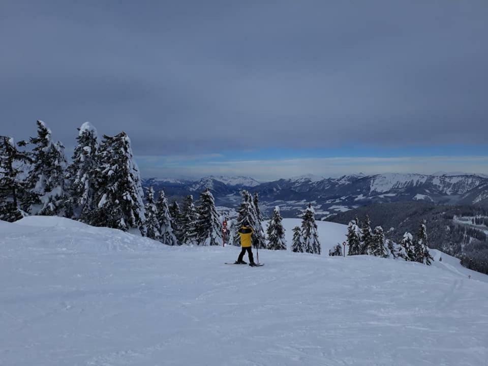 Dachstein View Ski Apartment 格绍 外观 照片