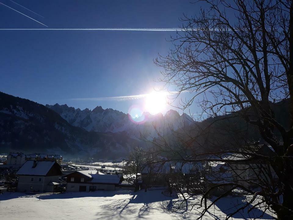 Dachstein View Ski Apartment 格绍 外观 照片